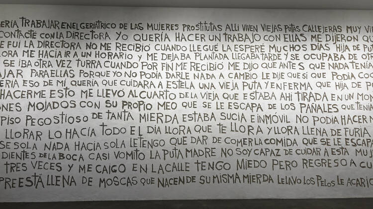 Ana Gallardo. Tembló acá un delirio MUAC exposiciones CDMX 