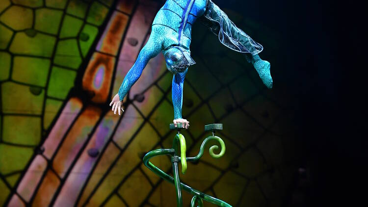 Marvel at the spectacle of Cirque du Soleil: OVO