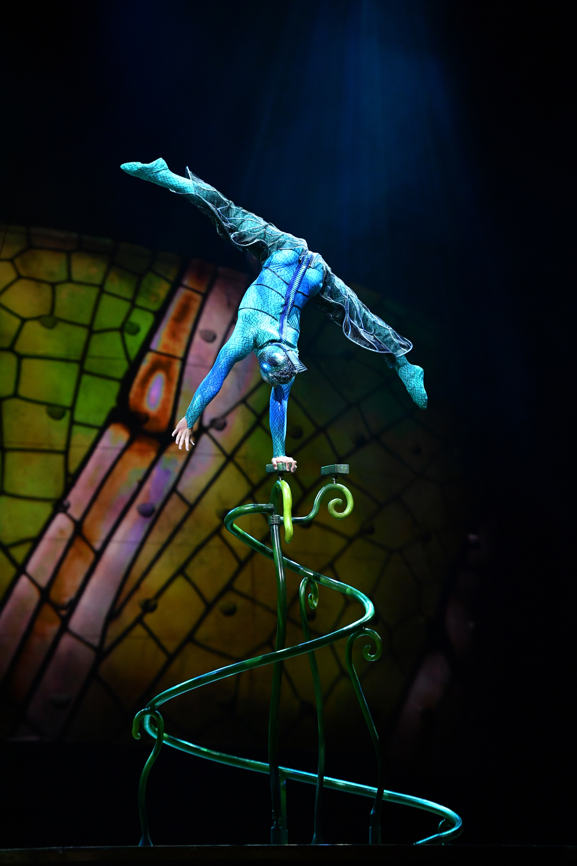 Ovo by Cirque du Soleil