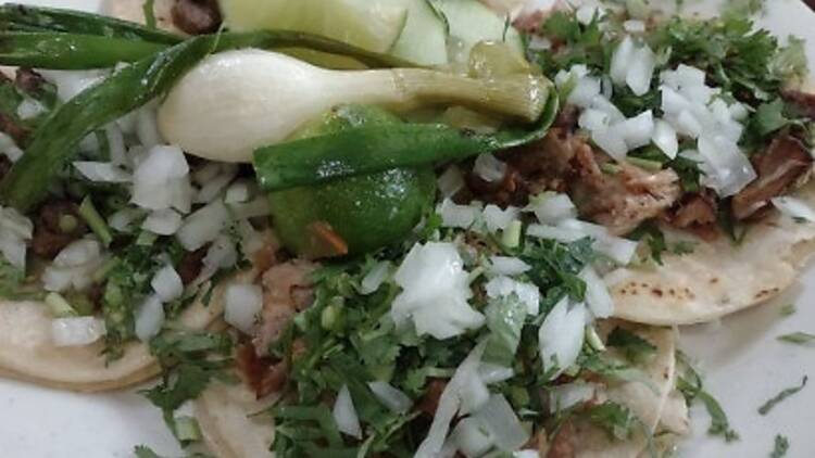 Lengua taco at Tacos El Bronco