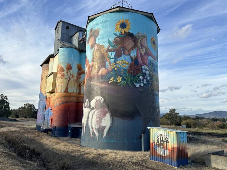 Quirindi Silo Art