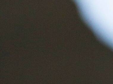 The Lost Loaf Tray of croissants