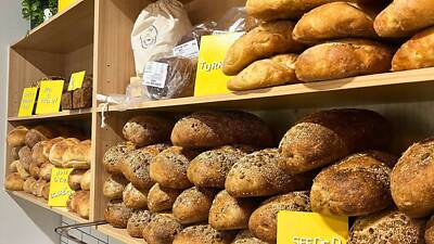 Nettle and Knead Nettle and Knead