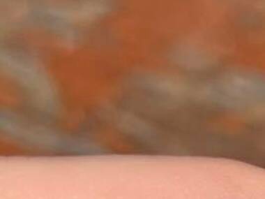 Bakery on O'Connell Bakery on O'Connell