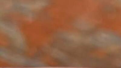 Bakery on O'Connell Bakery on O'Connell