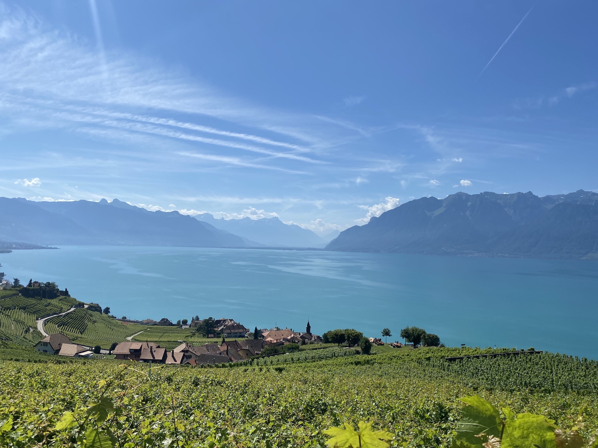 Vevey