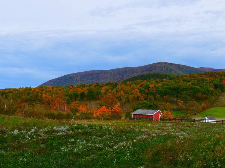 The Berkshires