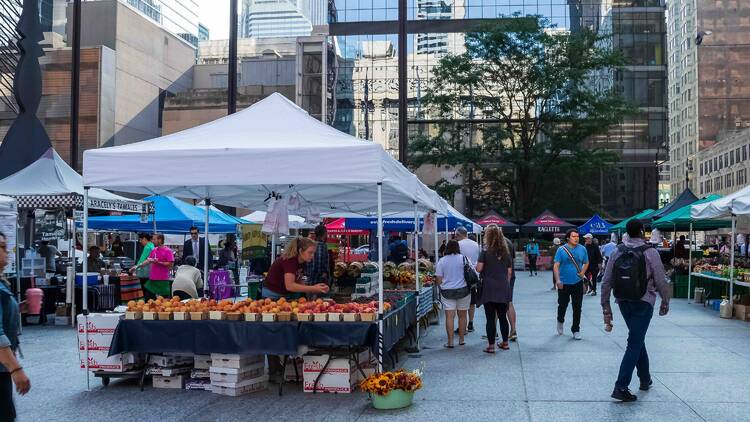 farmers market at daley plaza