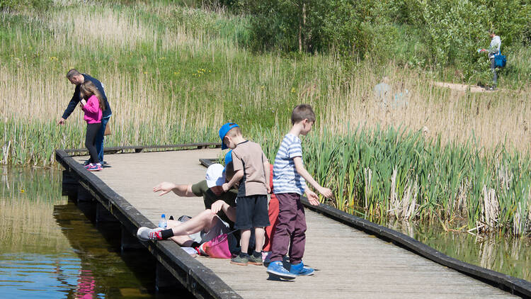 Children playing on a sunny day in Preston, Lancashire, UK