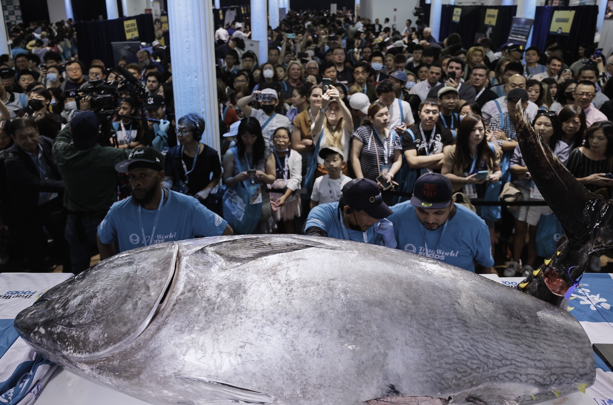 NYC's Biggest Sushi Convention is Back: Unlimited Sashimi, Tuna Cutting Show & More