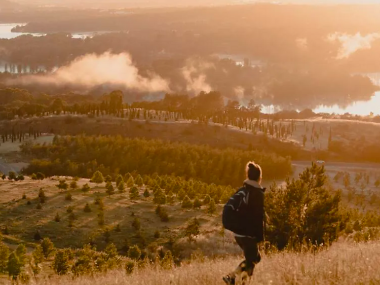 Watch the sunset from Dairy Farmers Hill