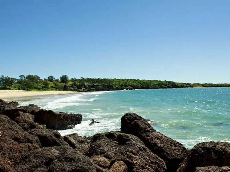 Dhimurru Coastal Walking Trail