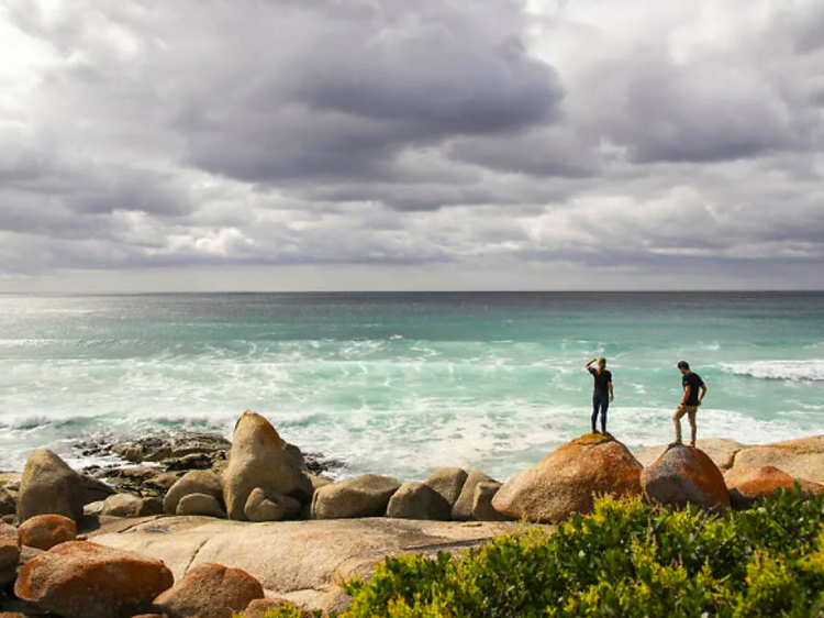 Swim in the Bay of Fires