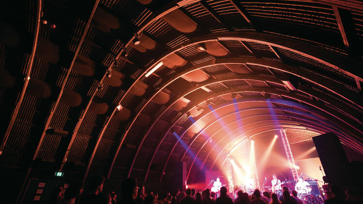 The Triffid concert venue