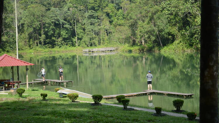 Taman Botani Negara Shah Alam