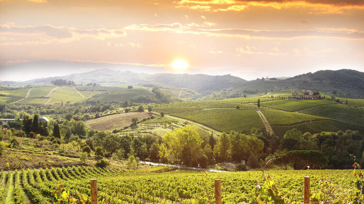 Chianti Wineries Tour with Food and Wine Tasting