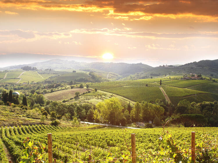 Chianti Wineries Tour with Food and Wine Tasting