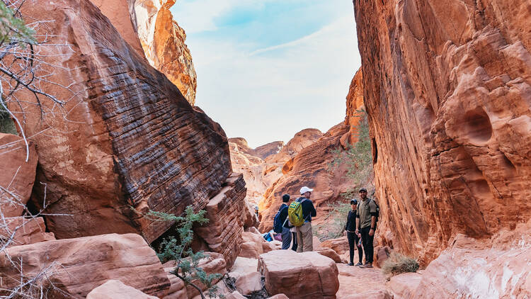 GetYourGuide Las Vegas valley of fire