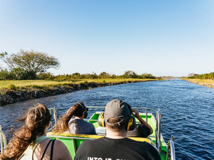 Florida Everglades Wildlife Airboat Tour