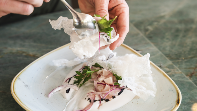 Ceviche with crackers