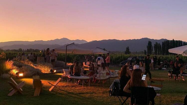 Sunset al pie de la cordillera en Viamonte Winery