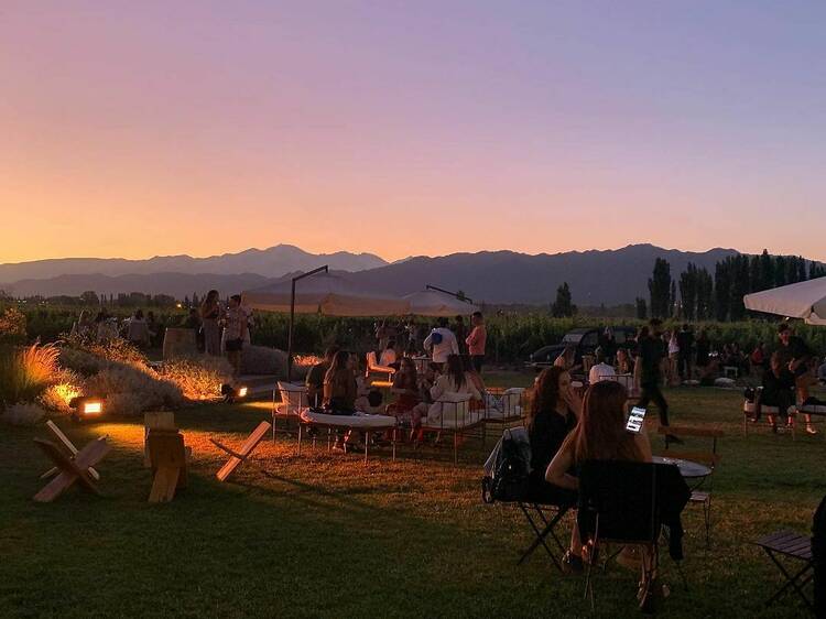 Sunset at the foot of the andes at Viamonte Winery