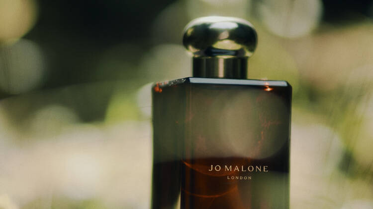 Jo Malone new Hinoki & Cedarwood Cologne Intense