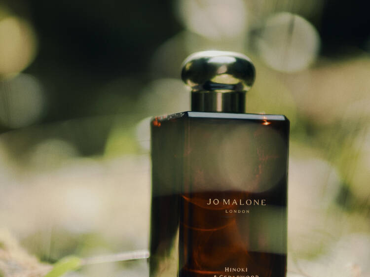 Jo Malone new Hinoki & Cedarwood Cologne Intense