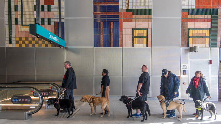 guide dogs at metro station