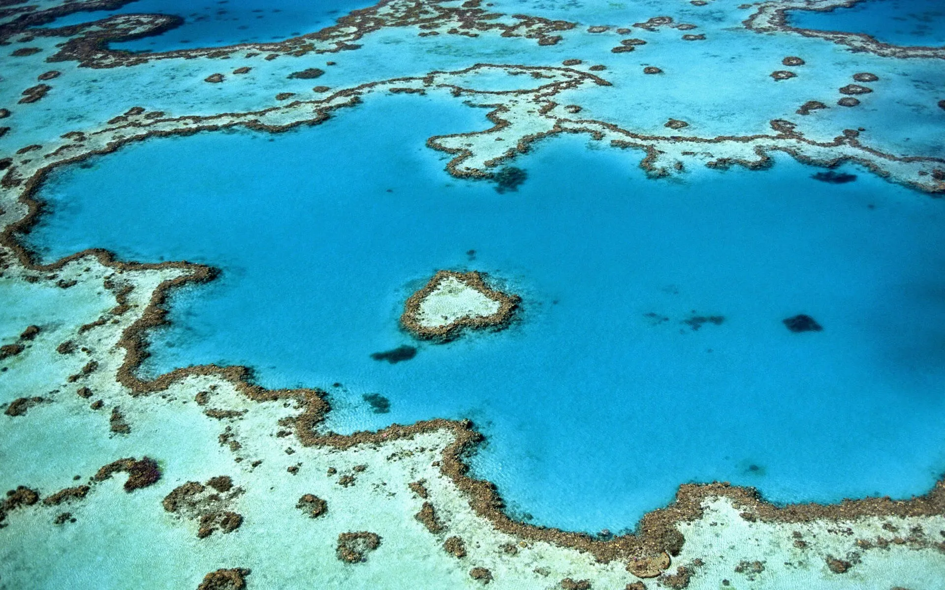 Aerial of Heart Reef