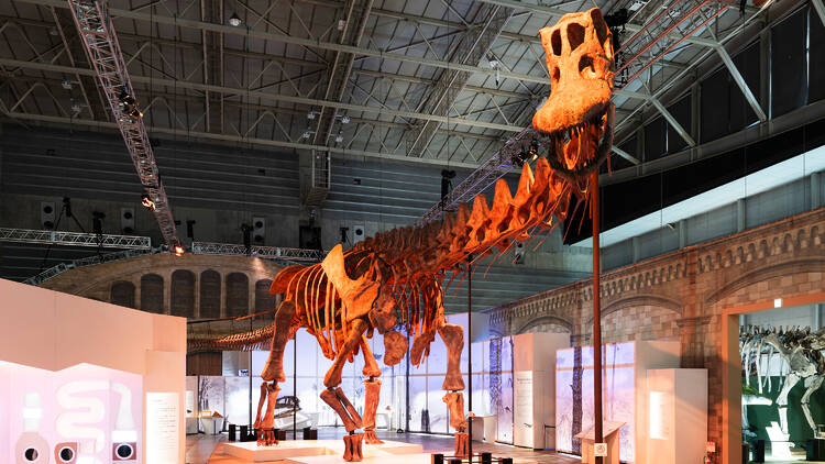 Giant Dinosaur Exhibition 2024