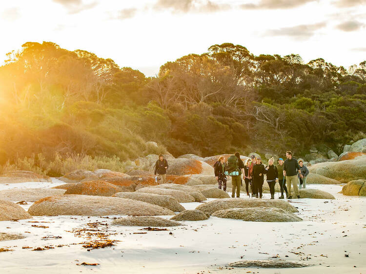 Walk in the footsteps of elders in Tasmania