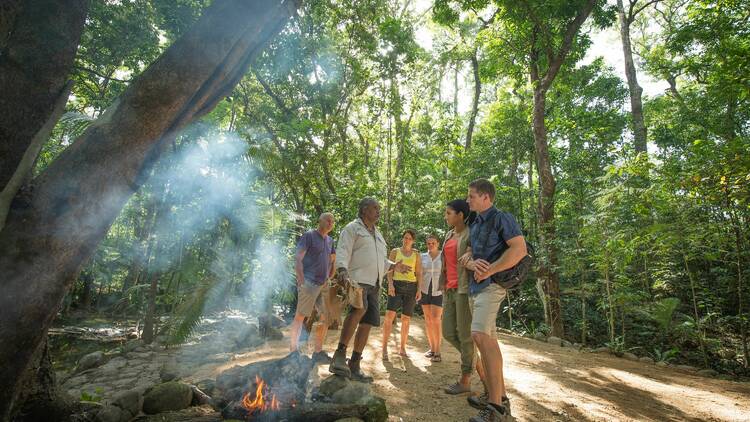 Trek through the Daintree National Park