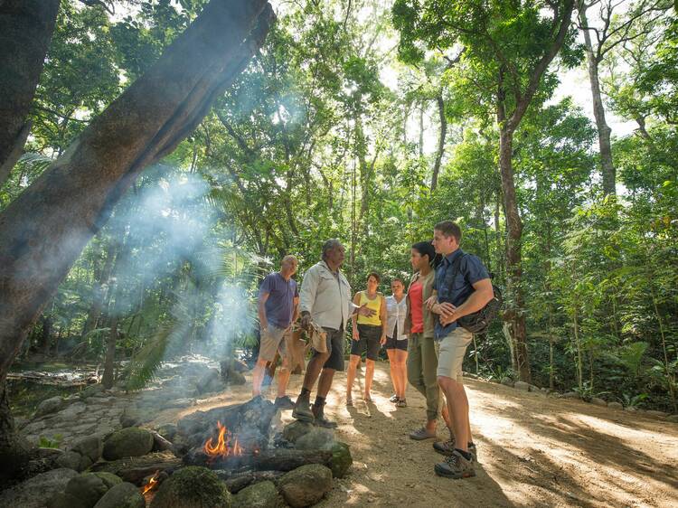 Trek through the Daintree National Park