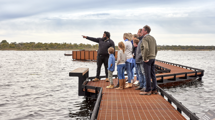 Discover the ancient aquaculture practices of the Gunditjmara people