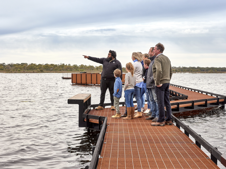 Discover the ancient aquaculture practices of the Gunditjmara people