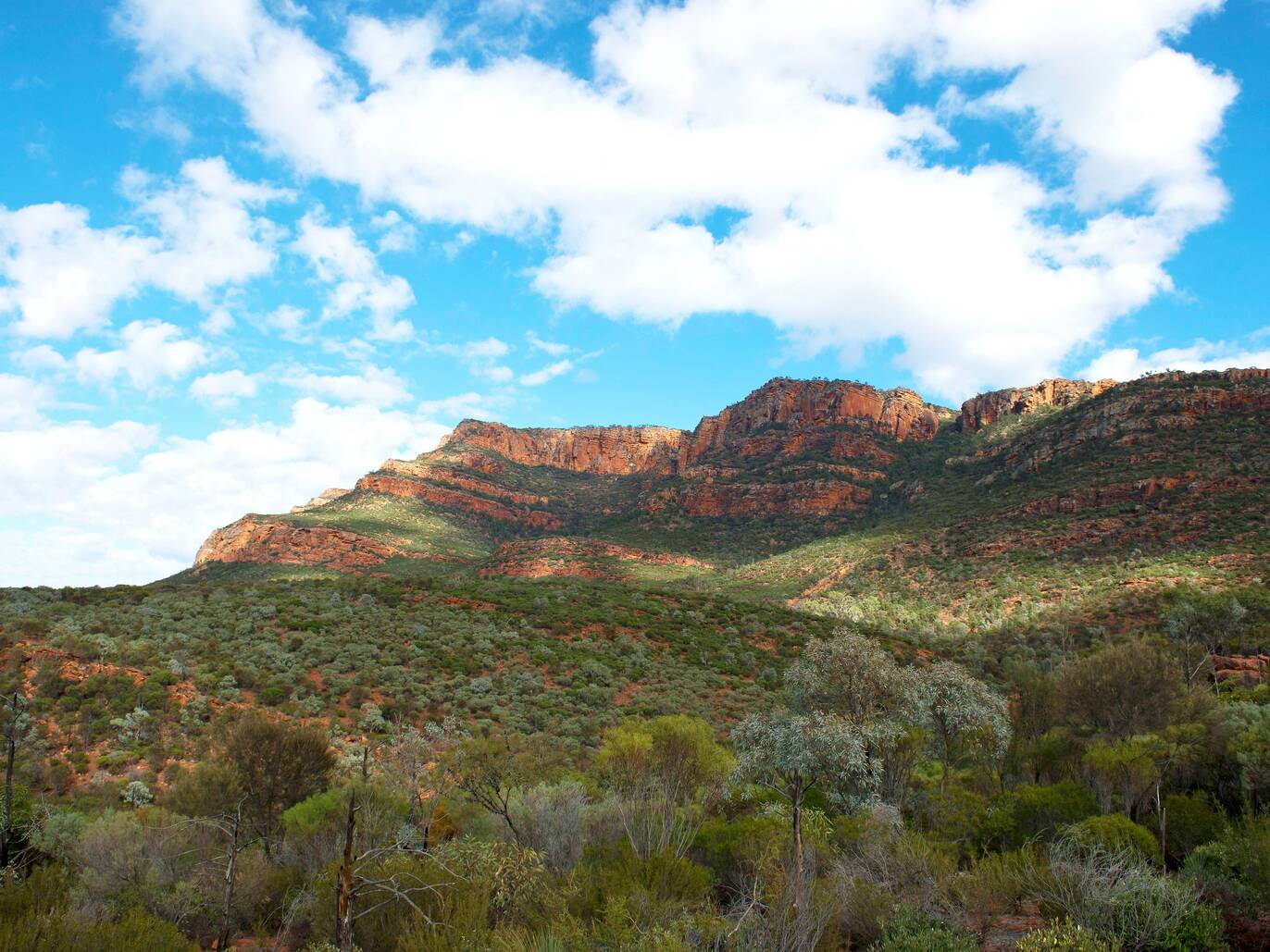 The 15 Best Indigenous Experiences in Australia [2025]