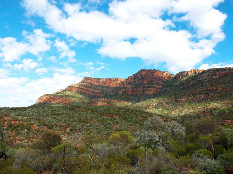 Explore a sacred canyon in the Ikara-Flinders Ranges