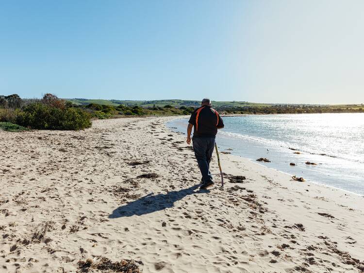 Explore dunes, lagoons and beaches along the mighty Murray River