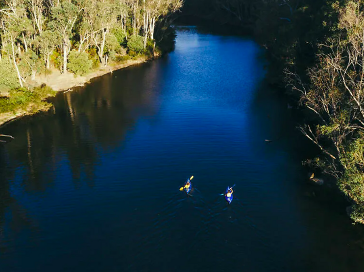 King Jarrah Walk Trail