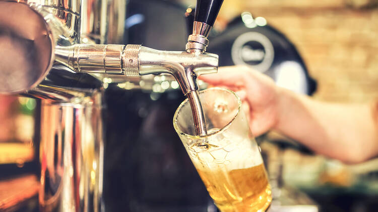 A bartender pouring a pint of lager