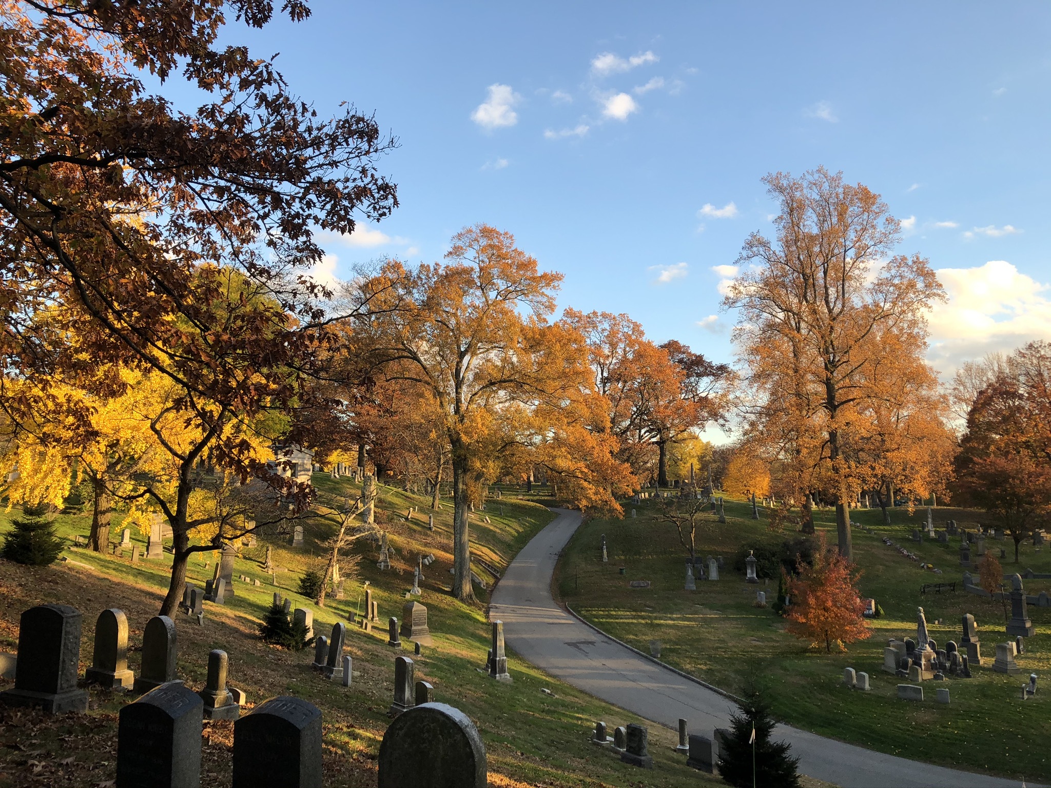 Fall foliage at Green-Wood Cemetery.