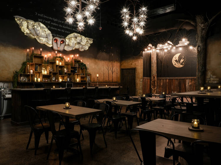 Magic is real at this enchanted forest speakeasy-style bar near Denver