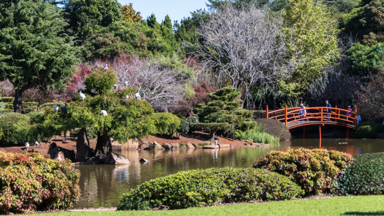 Find your zen in the Ja Raku En Japanese Garden