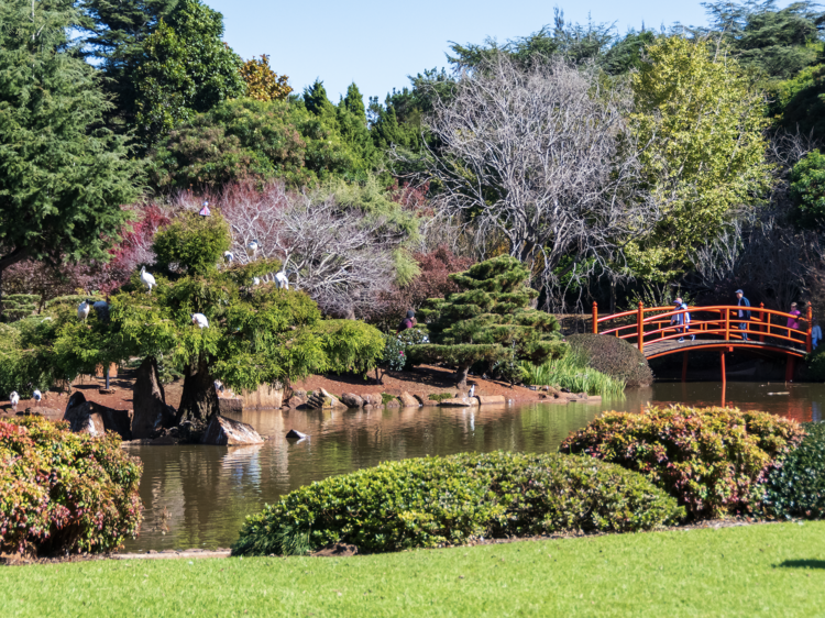 Find your zen in the Ja Raku En Japanese Garden