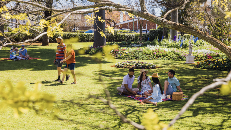 Have a picnic in the park