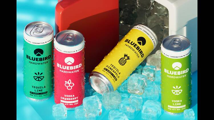 Photo courtesy of Bluebird