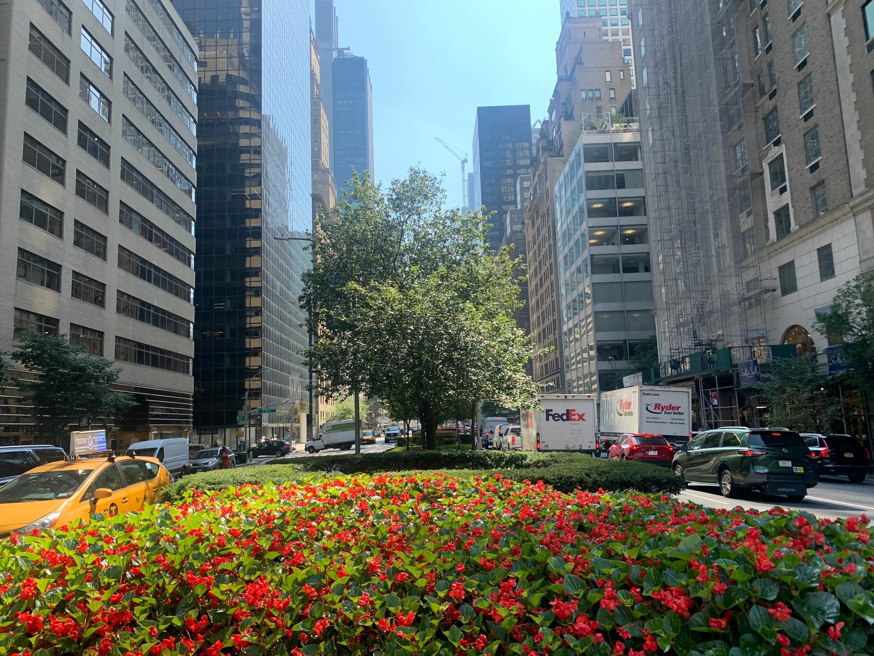 flowers on Park Avenue