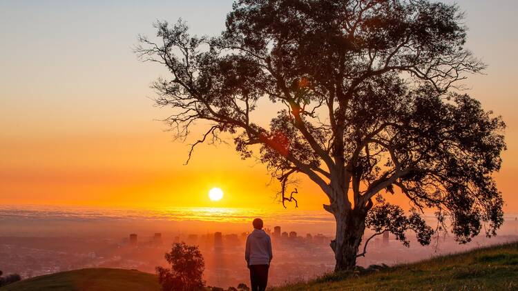 Watch the sunset at Mount Osmond