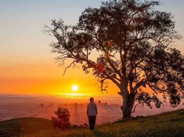 Mount Osmond, Adelaide, SA